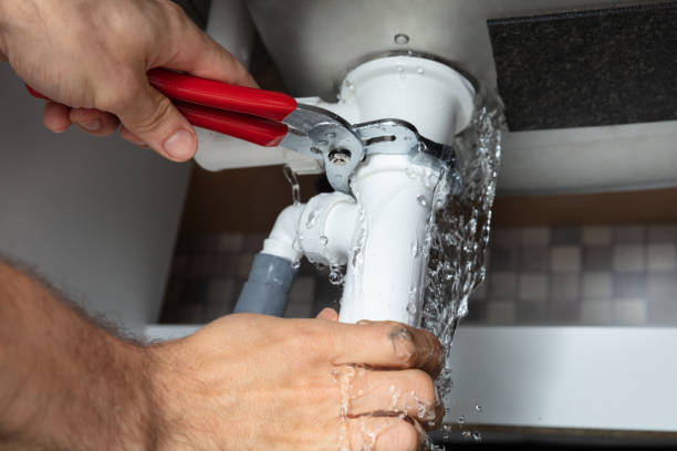 Best Water damage cleanup near me  in Payne, OH