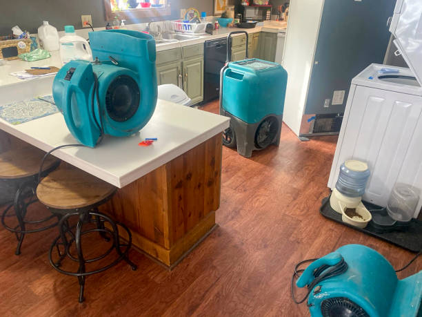 Best Water damage mitigation services  in Payne, OH