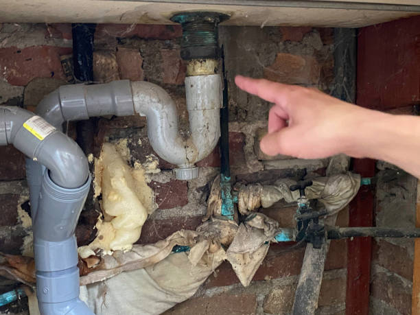 Best Flood damage cleanup  in Payne, OH