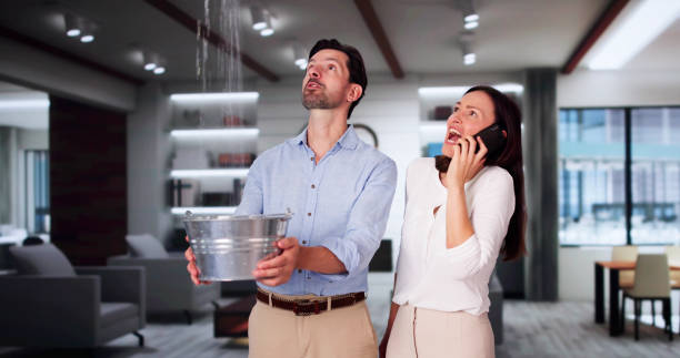 Best Water damage restoration insurance claims  in Payne, OH