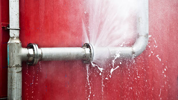 Trusted Payne, OH Water damage restoration Experts